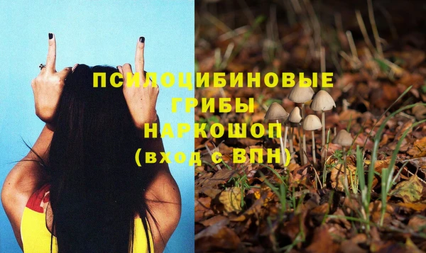 прущие грибы Армянск