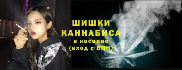 прущие грибы Армянск