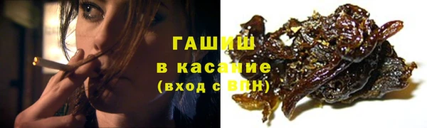 прущие грибы Армянск