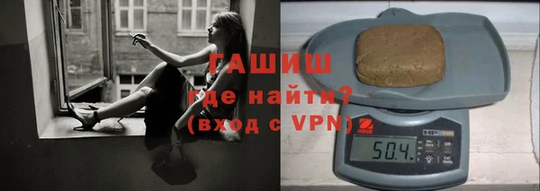 хмурый Арсеньев