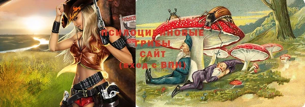 хмурый Арсеньев