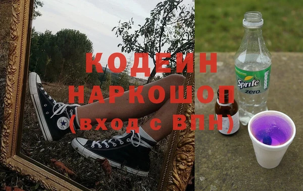 хмурый Арсеньев