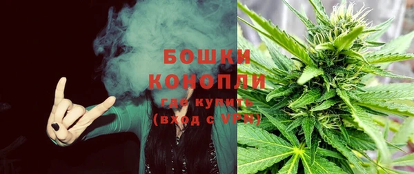 хмурый Арсеньев