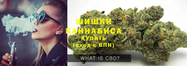 прущие грибы Армянск
