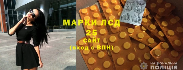 хмурый Арсеньев