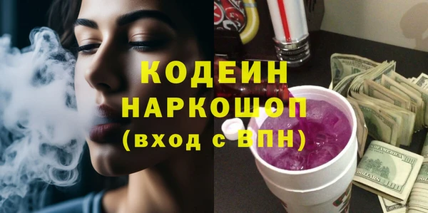 хмурый Арсеньев